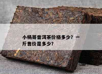 小杨哥普洱茶价格多少？一斤售价是多少？