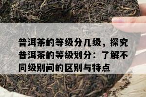 普洱茶的等级分几级，探究普洱茶的等级划分：了解不同级别间的区别与特点