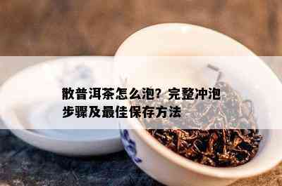 散普洱茶怎么泡？完整冲泡步骤及更佳保存方法