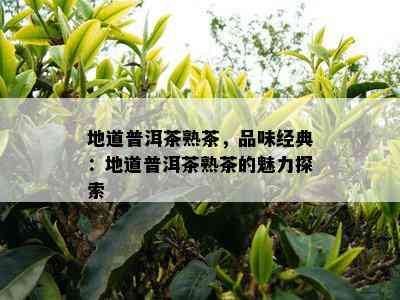 地道普洱茶熟茶，品味经典：地道普洱茶熟茶的魅力探索