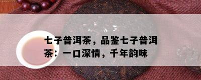 七子普洱茶，品鉴七子普洱茶：一口深情，千年韵味