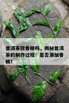 普洱茶放香精吗，揭秘普洱茶的制作过程：是否添加香精？