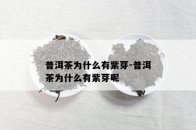 普洱茶为什么有紫芽-普洱茶为什么有紫芽呢