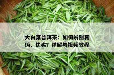 大白菜普洱茶：怎样辨别真伪、优劣？详解与视频教程