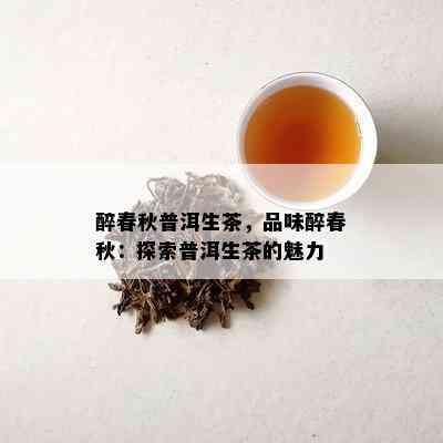 醉春秋普洱生茶，品味醉春秋：探索普洱生茶的魅力