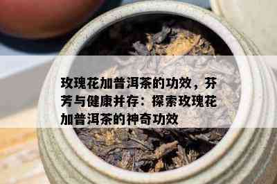 玫瑰花加普洱茶的功效，芬芳与健康并存：探索玫瑰花加普洱茶的神奇功效