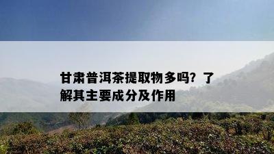 甘肃普洱茶提取物多吗？了解其主要成分及作用