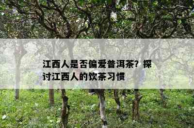 江西人是不是偏爱普洱茶？探讨江西人的饮茶习惯