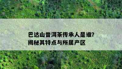 巴达山普洱茶传承人是谁？揭秘其特点与所属产区