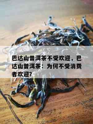 巴达山普洱茶不受欢迎，巴达山普洱茶：为何不受消费者欢迎？