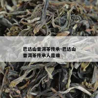 巴达山普洱茶传承-巴达山普洱茶传承人是谁