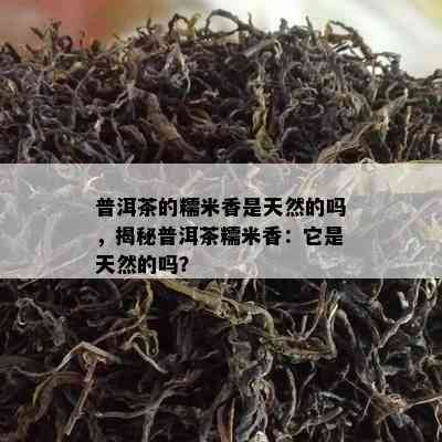 普洱茶的糯米香是天然的吗，揭秘普洱茶糯米香：它是天然的吗？