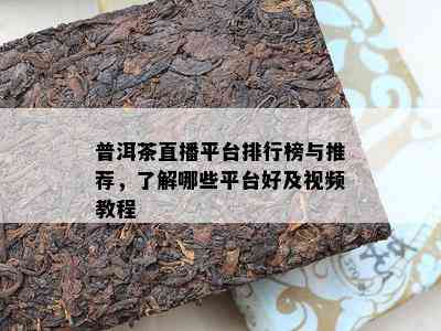 普洱茶直播平台排行榜与推荐，了解哪些平台好及视频教程