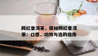 网红普洱茶，探秘网红普洱茶：口感、功效与选购指南