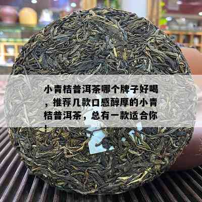 小青桔普洱茶哪个牌子好喝，推荐几款口感醇厚的小青桔普洱茶，总有一款适合你！