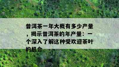 普洱茶一年大概有多少产量，揭示普洱茶的年产量：一个深入熟悉这类受欢迎茶叶的机会