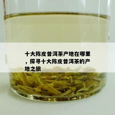 十大陈皮普洱茶产地在哪里，探寻十大陈皮普洱茶的产地之旅