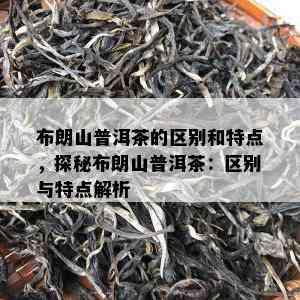 布朗山普洱茶的区别和特点，探秘布朗山普洱茶：区别与特点解析