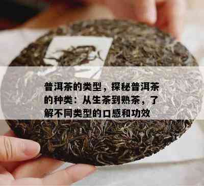 普洱茶的类型，探秘普洱茶的种类：从生茶到熟茶，熟悉不同类型的口感和功效