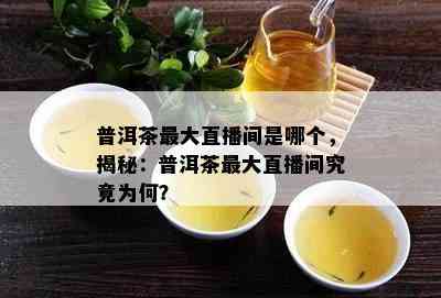 普洱茶更大直播间是哪个，揭秘：普洱茶更大直播间究竟为何？