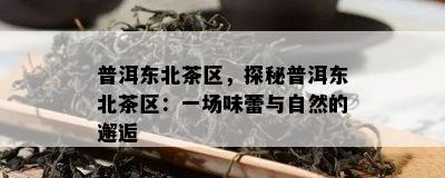 普洱东北茶区，探秘普洱东北茶区：一场味蕾与自然的邂逅