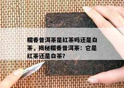 糯香普洱茶是红茶吗还是白茶，揭秘糯香普洱茶：它是红茶还是白茶？