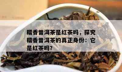 糯香普洱茶是红茶吗，探究糯香普洱茶的真正身份：它是红茶吗？