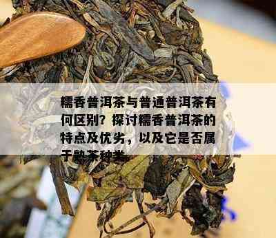 糯香普洱茶与普通普洱茶有何区别？探讨糯香普洱茶的特点及优劣，以及它是不是属于熟茶种类。