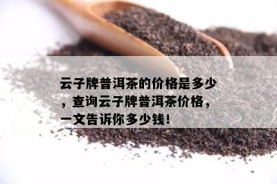 云子牌普洱茶的价格是多少，查询云子牌普洱茶价格，一文告诉你多少钱！