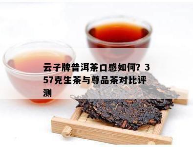 云子牌普洱茶口感怎样？357克生茶与尊品茶对比评测