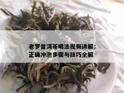 老罗普洱茶喝法视频讲解：正确冲泡步骤与技巧全解