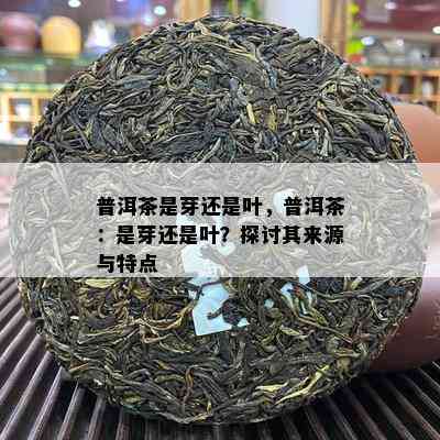 普洱茶是芽还是叶，普洱茶：是芽还是叶？探讨其来源与特点