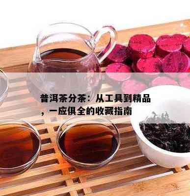 普洱茶分茶：从工具到精品，一应俱全的收藏指南