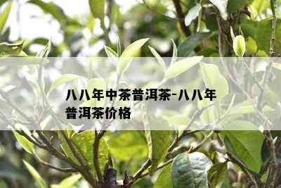 八八年中茶普洱茶-八八年普洱茶价格