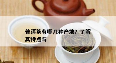 普洱茶有哪几种产地？了解其特点与