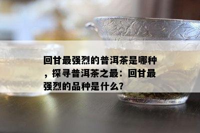 回甘最强烈的普洱茶是哪种，探寻普洱茶之最：回甘最强烈的品种是什么？