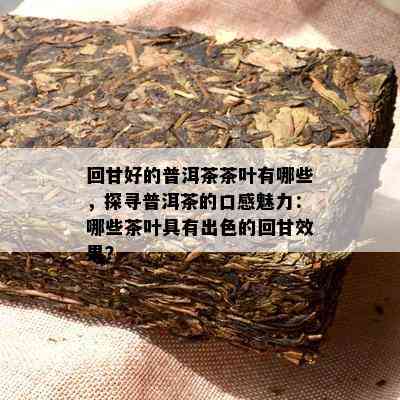 回甘好的普洱茶茶叶有哪些，探寻普洱茶的口感魅力：哪些茶叶具有出色的回甘效果？