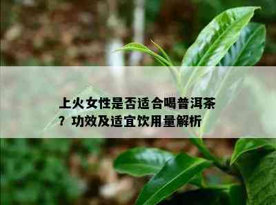 上火女性是不是适合喝普洱茶？功效及适宜饮用量解析