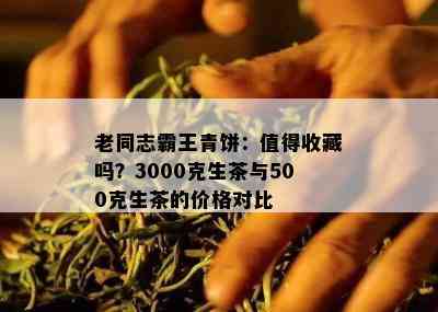 老同志霸王青饼：值得收藏吗？3000克生茶与500克生茶的价格对比