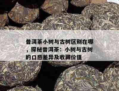 普洱茶小树与古树区别在哪，探秘普洱茶：小树与古树的口感差异及收藏价值