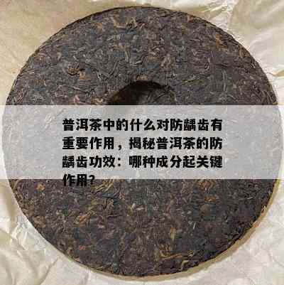 普洱茶中的什么对防龋齿有关键作用，揭秘普洱茶的防龋齿功效：哪种成分起关键作用？