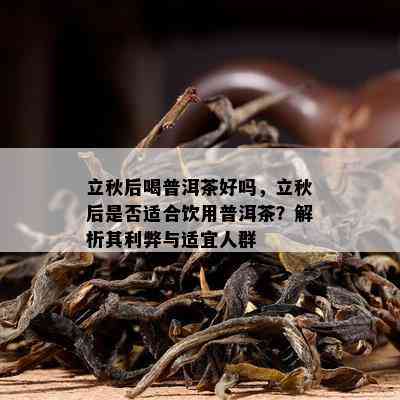 立秋后喝普洱茶好吗，立秋后是不是适合饮用普洱茶？解析其利弊与适宜人群