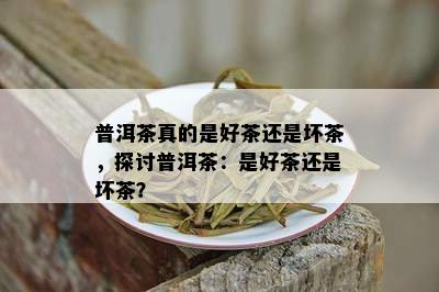 普洱茶真的是好茶还是坏茶，探讨普洱茶：是好茶还是坏茶？