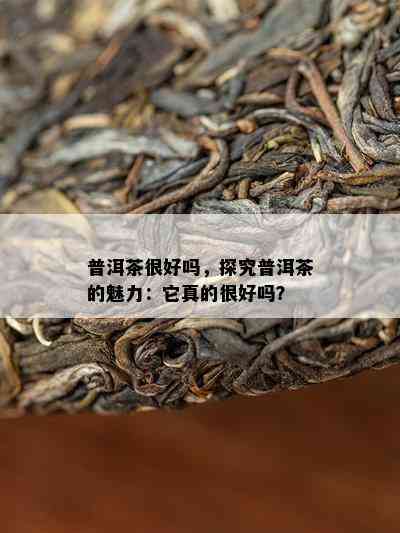 普洱茶很好吗，探究普洱茶的魅力：它真的很好吗？