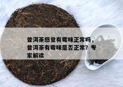 普洱茶感觉有霉味正常吗，普洱茶有霉味是否正常？专家解读