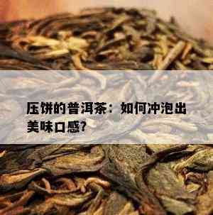 压饼的普洱茶：怎样冲泡出美味口感？