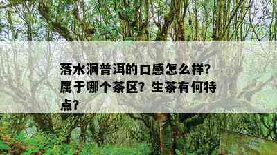 落水洞普洱的口感怎么样？属于哪个茶区？生茶有何特点？