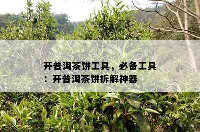 开普洱茶饼工具，必备工具：开普洱茶饼拆解神器