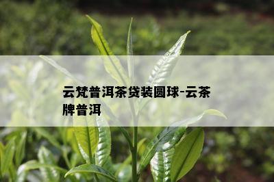 云梵普洱茶贷装圆球-云茶牌普洱