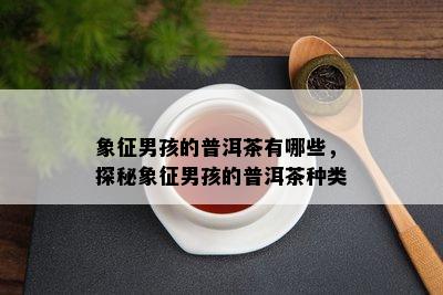 象征男孩的普洱茶有哪些，探秘象征男孩的普洱茶种类